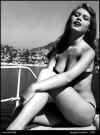 noctilio028_bbardot.jpg (135738 byte)